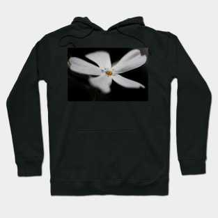 White Phlox Macro Hoodie